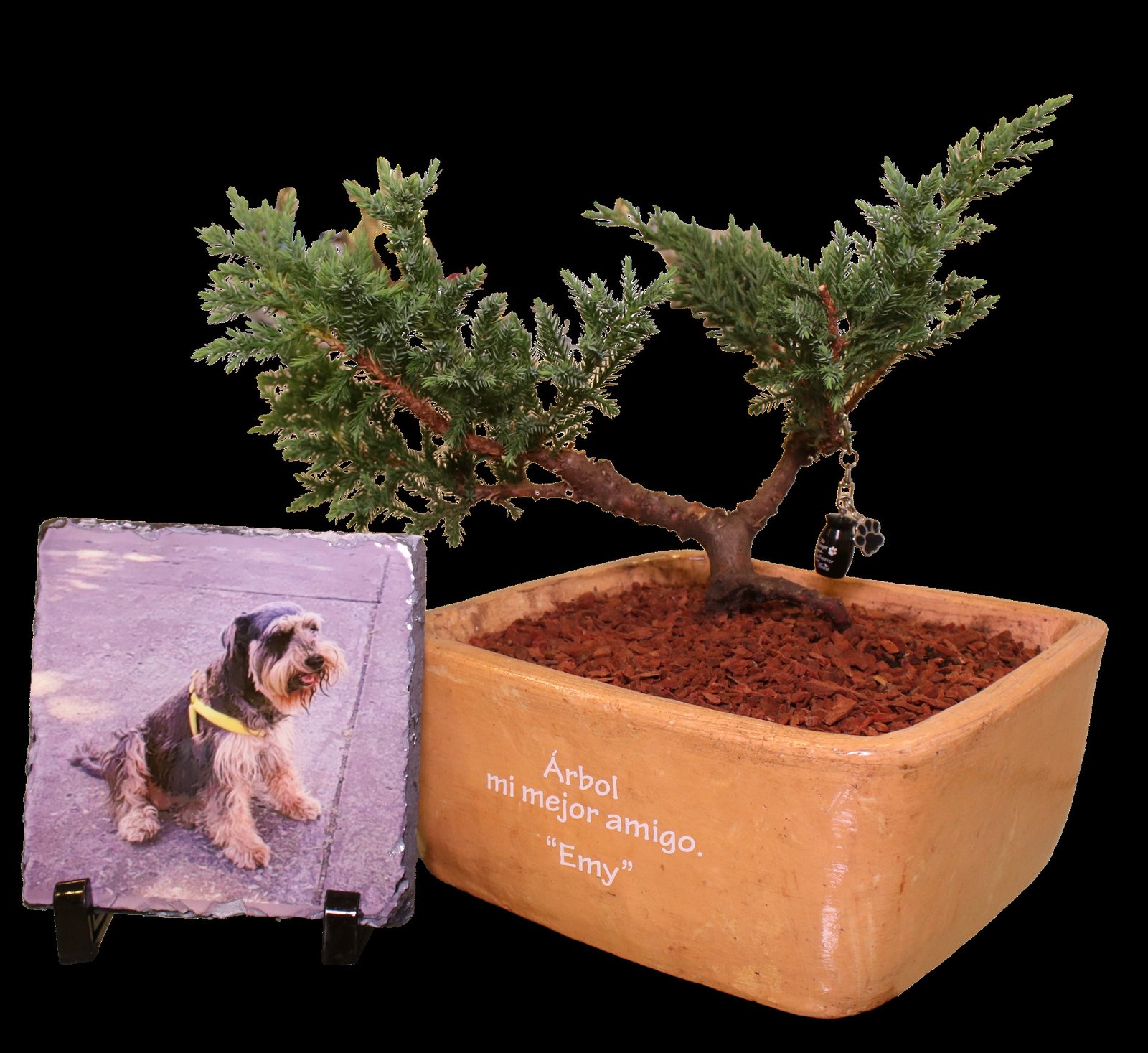 Árbol conmemorativo con retrato de mascota